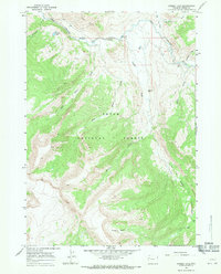 Download a high-resolution, GPS-compatible USGS topo map for Grizzly Lake, WY (1971 edition)