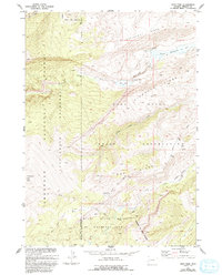 Download a high-resolution, GPS-compatible USGS topo map for Hays Park, WY (1993 edition)