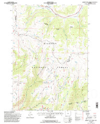 Download a high-resolution, GPS-compatible USGS topo map for Hidden Tepee Creek, WY (1997 edition)