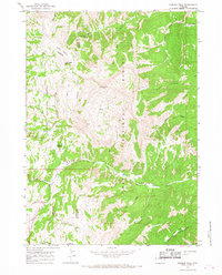 preview thumbnail of historical topo map of Sublette County, WY in 1965