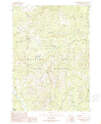 Download a high-resolution, GPS-compatible USGS topo map for Huckleberry Mountain, WY (1989 edition)