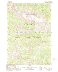 Download a high-resolution, GPS-compatible USGS topo map for Hurricane Mesa, WY (1989 edition)