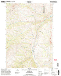 Download a high-resolution, GPS-compatible USGS topo map for Irish Rock, WY (1997 edition)