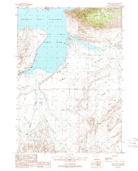 Download a high-resolution, GPS-compatible USGS topo map for Irma Flats, WY (1988 edition)