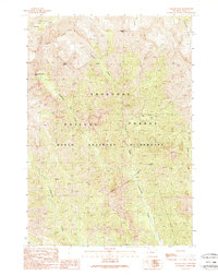 Download a high-resolution, GPS-compatible USGS topo map for Jaggar Peak, WY (1989 edition)