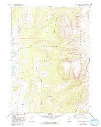 Download a high-resolution, GPS-compatible USGS topo map for Kendall Mountain, WY (1993 edition)
