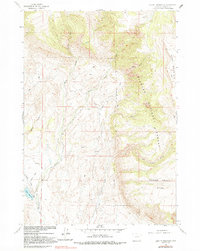 Download a high-resolution, GPS-compatible USGS topo map for Leavitt Reservoir, WY (1991 edition)