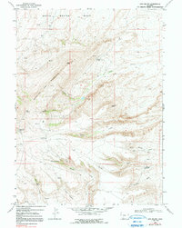 Download a high-resolution, GPS-compatible USGS topo map for Lion Bluffs, WY (1991 edition)