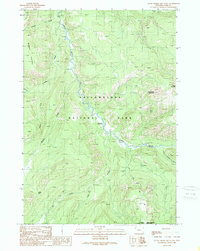 Download a high-resolution, GPS-compatible USGS topo map for Little Saddle Mountain, WY (1989 edition)