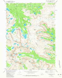 Download a high-resolution, GPS-compatible USGS topo map for Lizard Head Peak, WY (1981 edition)