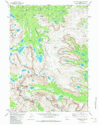 Download a high-resolution, GPS-compatible USGS topo map for Lizard Head Peak, WY (1982 edition)