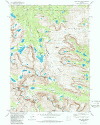 Download a high-resolution, GPS-compatible USGS topo map for Lizard Head Peak, WY (1987 edition)