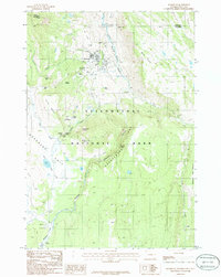 Download a high-resolution, GPS-compatible USGS topo map for Mammoth, WY (1986 edition)