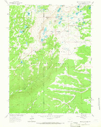 Download a high-resolution, GPS-compatible USGS topo map for Medicine Bow Peak, WY (1965 edition)