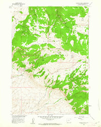 Download a high-resolution, GPS-compatible USGS topo map for Medicine Wheel, WY (1962 edition)