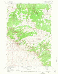 Download a high-resolution, GPS-compatible USGS topo map for Medicine Wheel, WY (1978 edition)