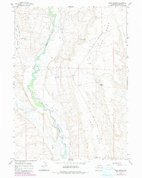 Download a high-resolution, GPS-compatible USGS topo map for Mesa Spring, WY (1980 edition)