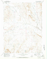 Download a high-resolution, GPS-compatible USGS topo map for Mexican Flats, WY (1973 edition)