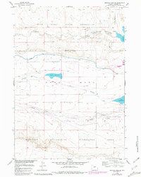 Download a high-resolution, GPS-compatible USGS topo map for Mexican Pass SE, WY (1981 edition)