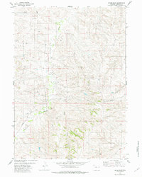 Download a high-resolution, GPS-compatible USGS topo map for Mikes Draw, WY (1981 edition)