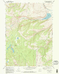 Download a high-resolution, GPS-compatible USGS topo map for Moccasin Lake, WY (1995 edition)