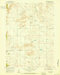 Download a high-resolution, GPS-compatible USGS topo map for Moore Spring, WY (1951 edition)