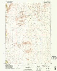 Download a high-resolution, GPS-compatible USGS topo map for Moore Spring, WY (1995 edition)