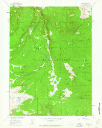 Download a high-resolution, GPS-compatible USGS topo map for Morgan, WY (1963 edition)
