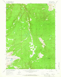Download a high-resolution, GPS-compatible USGS topo map for Morgan, WY (1966 edition)