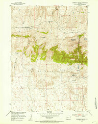 Download a high-resolution, GPS-compatible USGS topo map for Morrison Canyon, WY (1953 edition)