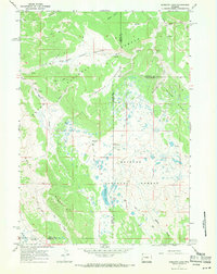 Download a high-resolution, GPS-compatible USGS topo map for Mosquito Lake, WY (1971 edition)