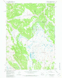 Download a high-resolution, GPS-compatible USGS topo map for Mosquito Lake, WY (1980 edition)