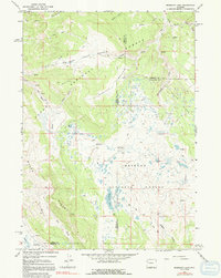 Download a high-resolution, GPS-compatible USGS topo map for Mosquito Lake, WY (1992 edition)