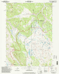 Download a high-resolution, GPS-compatible USGS topo map for Mosquito Lake, WY (1998 edition)