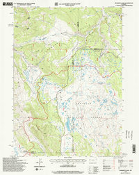 Download a high-resolution, GPS-compatible USGS topo map for Mosquito Lake, WY (1998 edition)