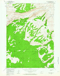 Download a high-resolution, GPS-compatible USGS topo map for Mount Arter, WY (1963 edition)