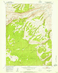 Download a high-resolution, GPS-compatible USGS topo map for Mount Arter, WY (1955 edition)