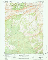 Download a high-resolution, GPS-compatible USGS topo map for Mount Arter, WY (1973 edition)
