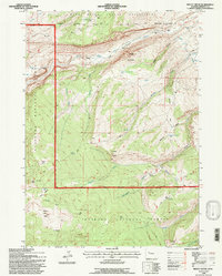 Download a high-resolution, GPS-compatible USGS topo map for Mount Arter, WY (1997 edition)