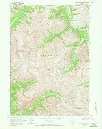 Download a high-resolution, GPS-compatible USGS topo map for Mount Burwell, WY (1971 edition)