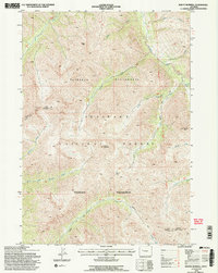 Download a high-resolution, GPS-compatible USGS topo map for Mount Burwell, WY (1997 edition)
