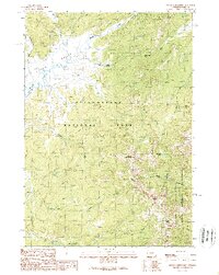 Download a high-resolution, GPS-compatible USGS topo map for Mount Chittenden, WY (1989 edition)
