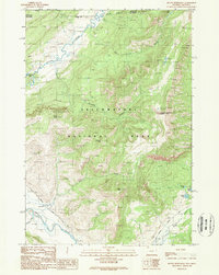 Download a high-resolution, GPS-compatible USGS topo map for Mount Hornaday, WY (1989 edition)
