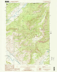 Download a high-resolution, GPS-compatible USGS topo map for Mount Hornaday, WY (1989 edition)