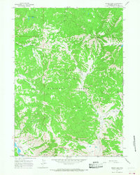 preview thumbnail of historical topo map of Teton County, WY in 1965