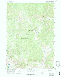 Download a high-resolution, GPS-compatible USGS topo map for Mount Leidy, WY (1968 edition)