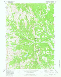 Download a high-resolution, GPS-compatible USGS topo map for Mount Schidler, WY (1980 edition)