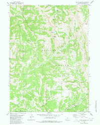 Download a high-resolution, GPS-compatible USGS topo map for Mount Wagner, WY (1980 edition)