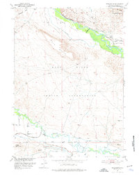 Download a high-resolution, GPS-compatible USGS topo map for Mule Butte, WY (1976 edition)