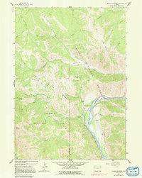 Download a high-resolution, GPS-compatible USGS topo map for Munger Mountain, WY (1992 edition)